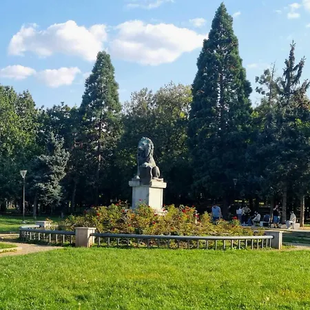 Cappuccino Dream Sofia